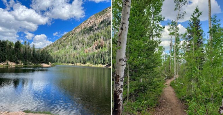 This Easy Durango Lake Hike Leads To A Quiet Spot Locals Call Spud Lake