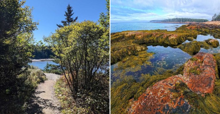 This Easy Maine Hike Leads To Tide Pools And Sweeping Ocean Views