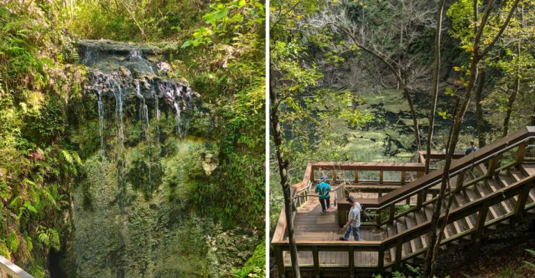 This Easy Paved Trail In Florida Leads Straight To A Surprisingly Hidden Waterfall