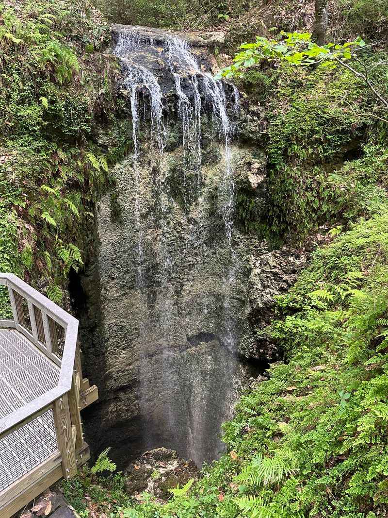 Florida's Tallest Waterfall: A 73-Foot Wonder