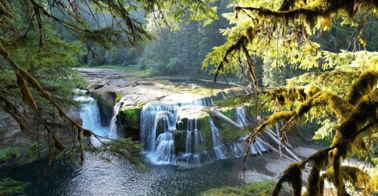 This Easy Washington Hike Leads To A Waterfall And A Forest Suspension Bridge