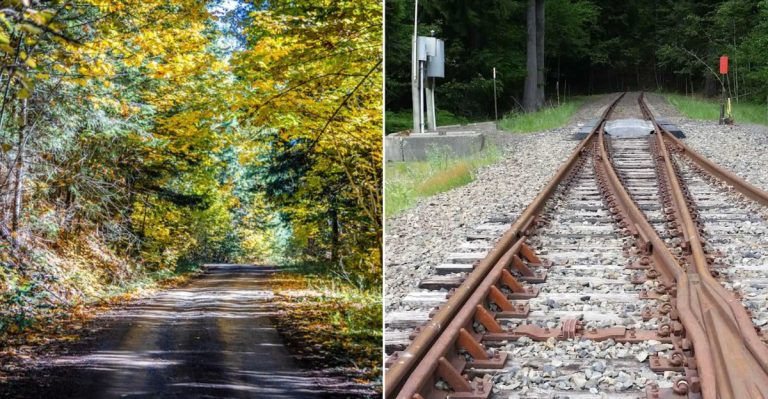 This Eerie Two-Mile Trail Leads To A Forgotten Town In Washington