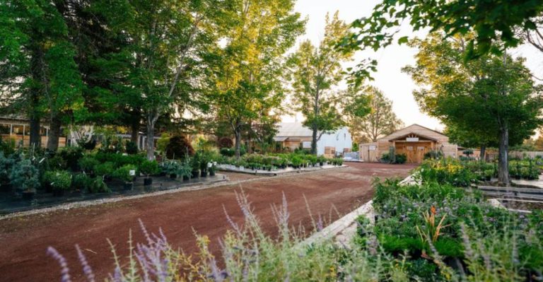 This Enchanting Garden Market In Oregon Is A Must-Visit Destination For Nature Lovers