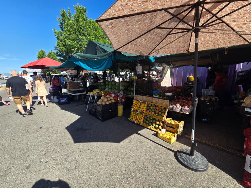 The Plan That Makes Itself