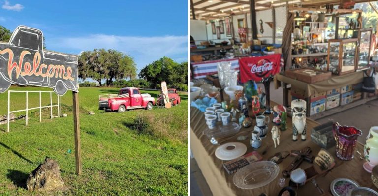 This Enormous Florida Market Makes Every Aisle Feel Like A New Discovery (Bargain Hunter’s Dream)