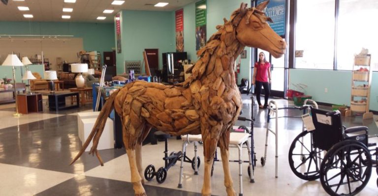 This Enormous Nevada Thrift Store Keeps Treasure Hunters Busy For Hours