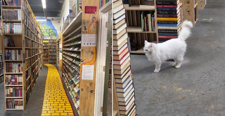 This Enormous Pennsylvania Book Warehouse Is A Must-Visit For Readers