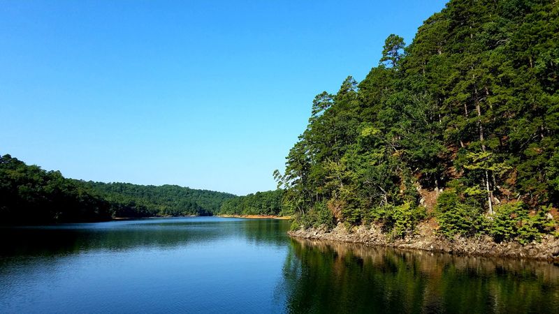 Forest Wrapped Shorelines And Quiet Emerald Coves