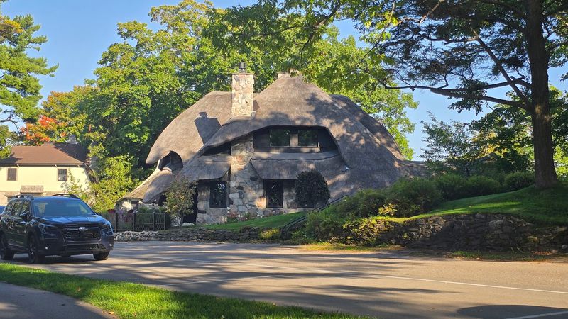 Stonework That Feels Alive