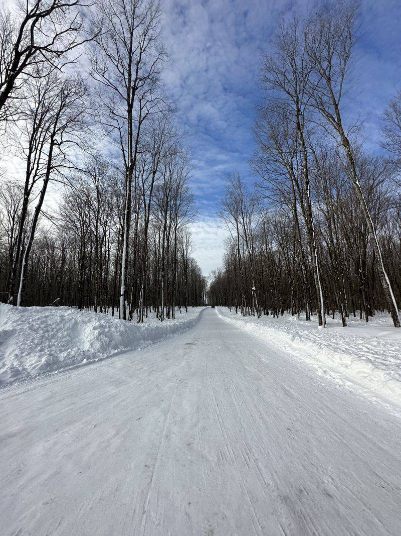 Start Early, Cross The Field Calmly