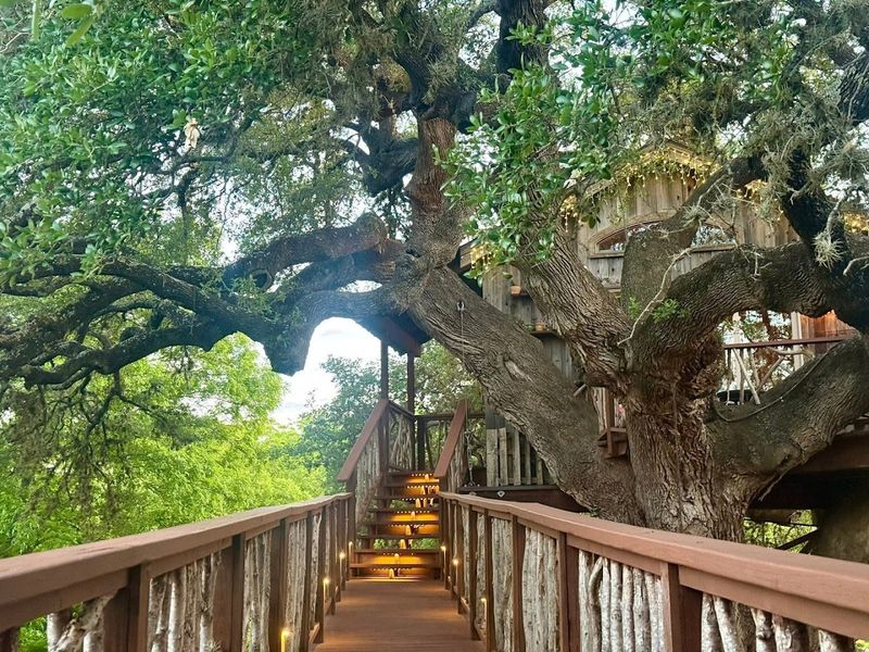 An Extraordinary Treehouse Built To Amaze
