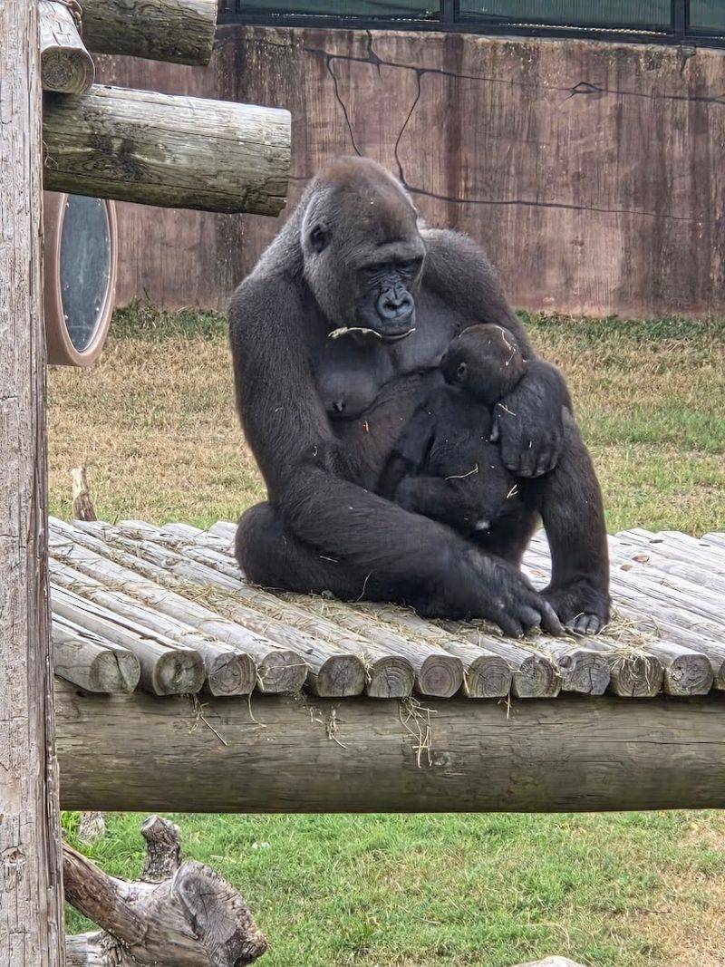 Discover A Family Friendly Zoo Loved By Visitors Of All Ages