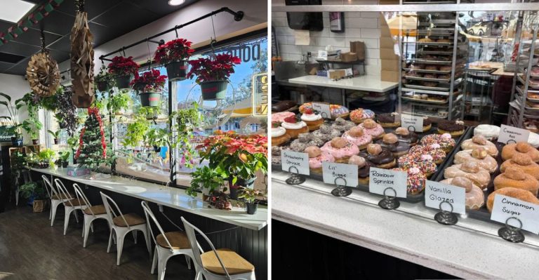 This Family-Owned Florida Bakery Creates Doughnuts Almost Too Beautiful To Eat