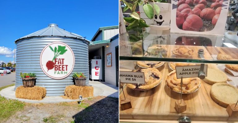 This Farm Bakery In Florida Is A Must-Visit For Seasonal Pot Pie Lovers