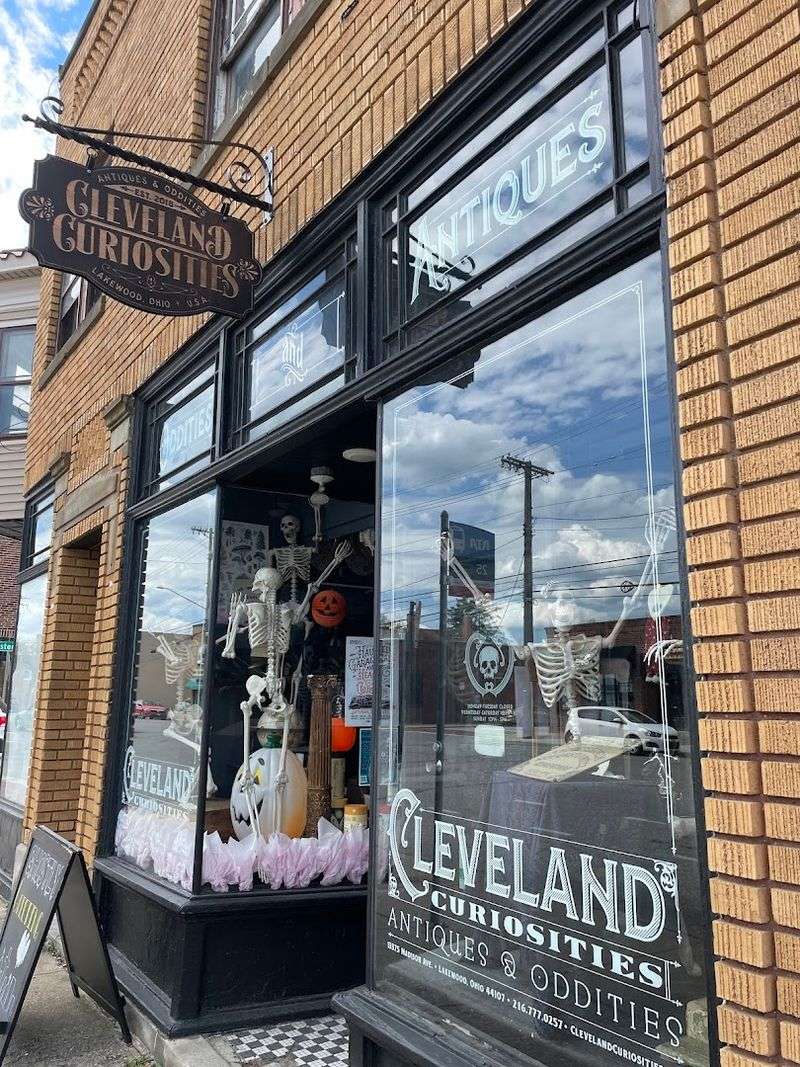 A Shop That Feels Like a Museum You Can Actually Buy Things From