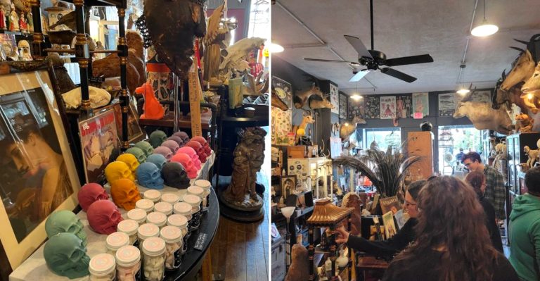 This Fascinatingly Weird Gift Shop In Ohio Is A Wonderland Of Curiosities And Oddities