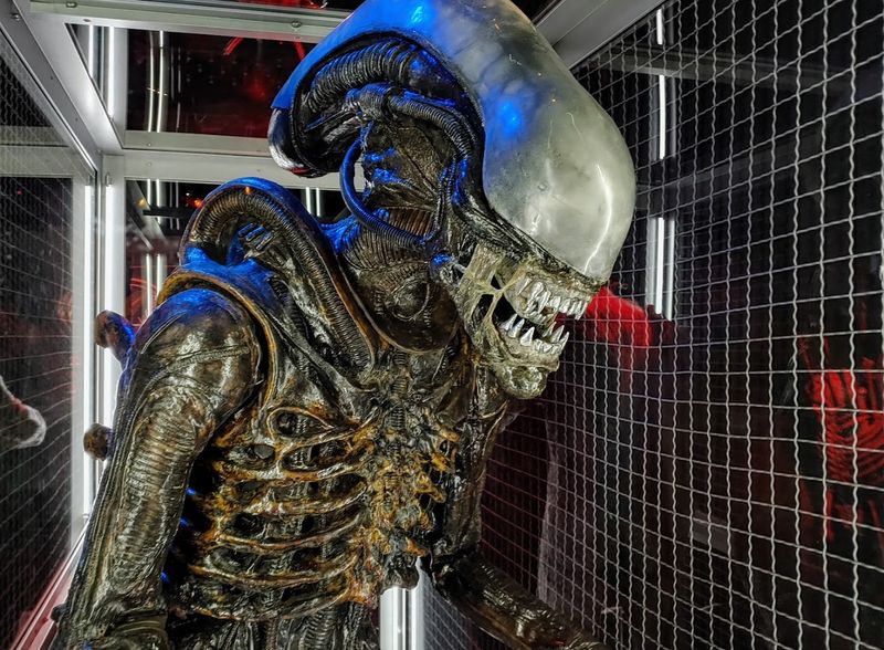 The Thrill Of Horror Film Exhibition