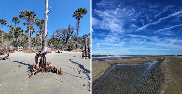 This Ferry Ride To Bull Island In South Carolina Leads To A Sand Dollar Paradise