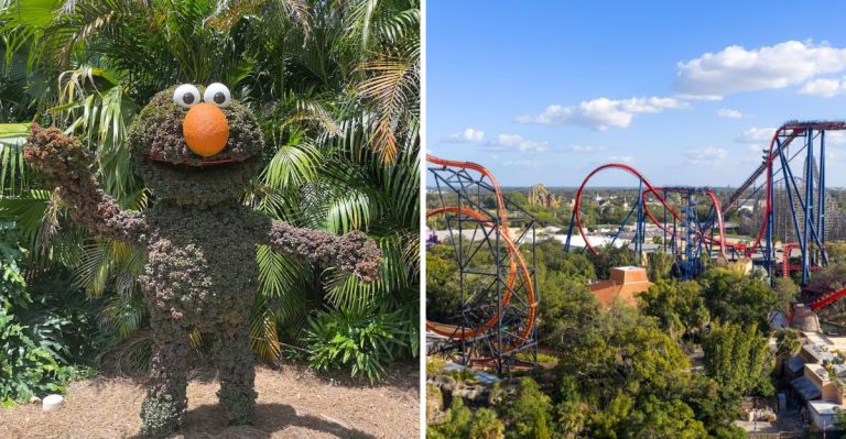 This Florida Amusement Park Makes Ordinary Day Trips Look Boring In 2026