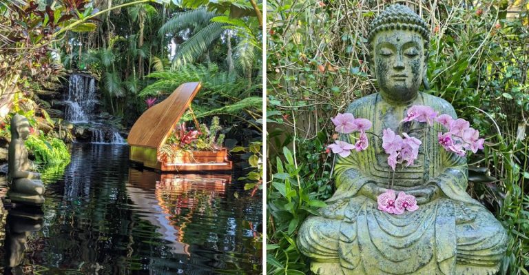 This Florida Botanical Conservatory Feels Like A Warm Escape In March