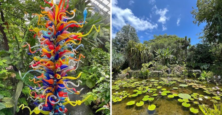 This Florida Botanical Garden Is A Lush Tropical Paradise Just Waiting To Be Discovered