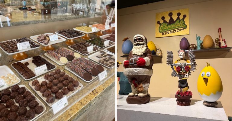 This Florida Chocolate Factory Lets Kids Watch Candy Being Made And Create Their Own Bar