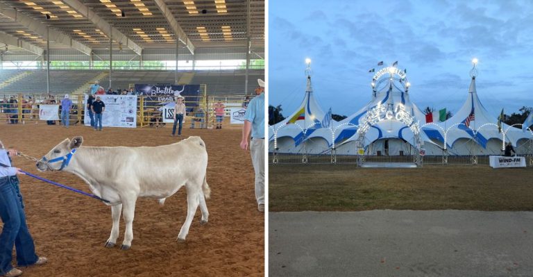 This Florida Country Music And Bull Riding Festival Is The Wildest Event Happening This Summer