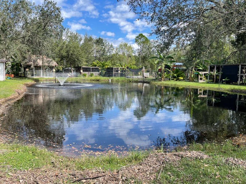 Exact Location And How To Get There