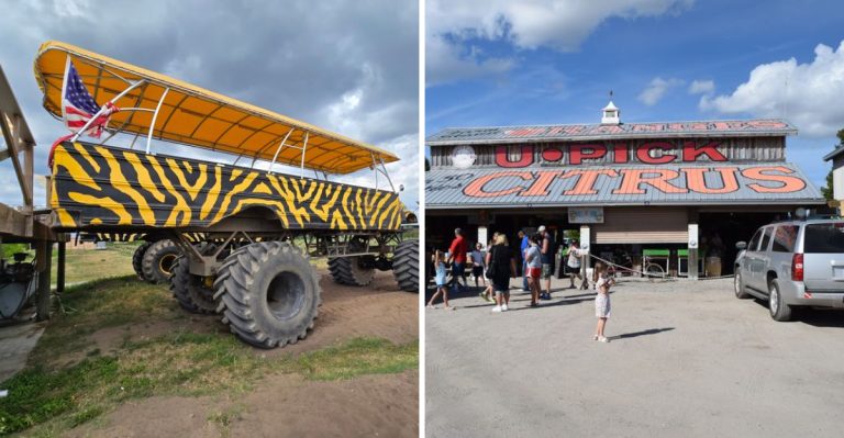 This Florida Farm Has Monster Trucks, Capybaras, Lemurs, And Family Fun All In One Place