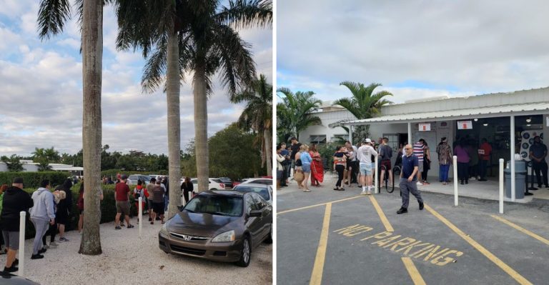 This Florida Farm In Homestead Serves Hot Cinnamon Rolls Fresh From The Oven