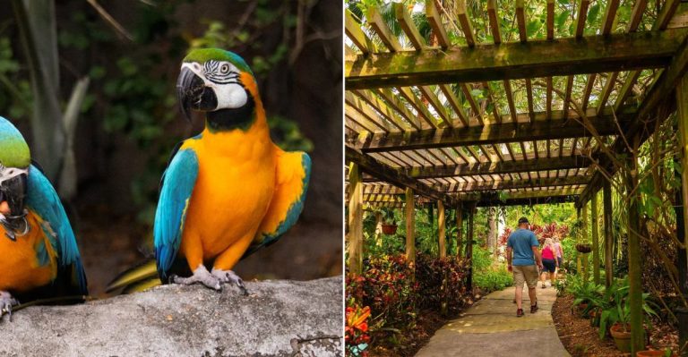 The Hidden Florida Garden That’s One Of The State’s Best-Kept Secrets