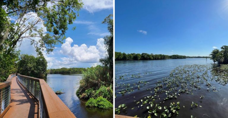 This Florida Hike You Need To Do This April Has A Wildly Good Payoff For The Shortest Miles