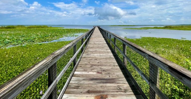 This Florida Horseback Ride Offers Some Of The Most Scenic Views In The State