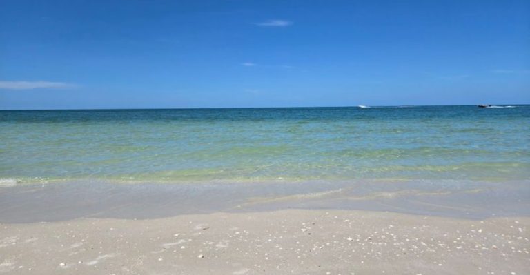 This Florida Island Has No Roads, No Bridges Just Dolphins And A Floating Taco Boat