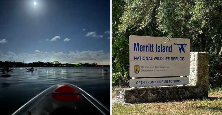 This Florida Lagoon Glows Electric Blue At Night And It’s One Of The Most Magical Experiences In The World