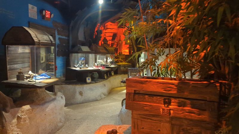 Finding The Entrance Vibe