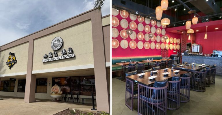 This Florida Noodle Spot Has Hand-Pulled Noodles, Soup Dumplings And A Robot Server