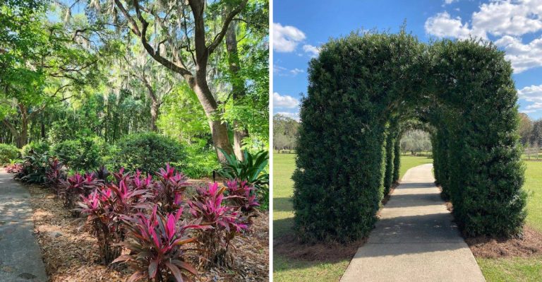 This Florida Park Was Just Named The Second Most Peaceful Place In America