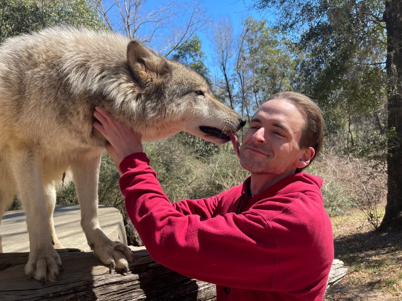 Walking Among The Wolves