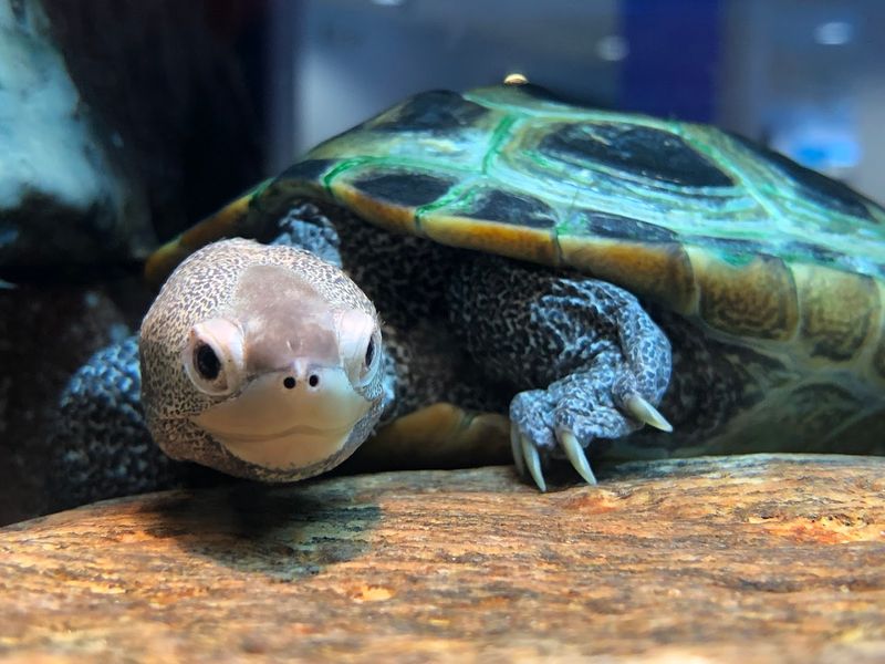 Active Research Labs With Public Viewing