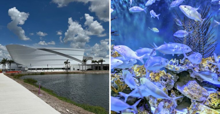This Florida Research Aquarium Lets You Watch Real Marine Scientists At Work
