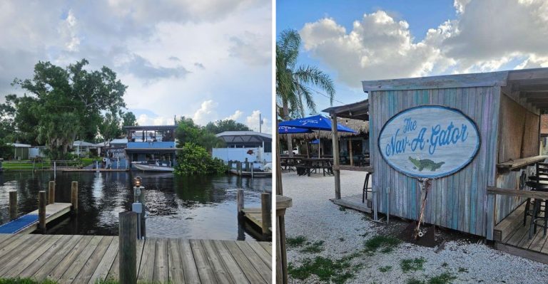 This Florida Restaurant Lets You Try Alligator Meat Right By The Water