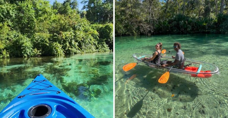 This Florida River Is So Clear It Feels Like You Are Floating On Air