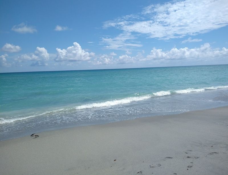 Crystal-Clear Turquoise Waters That Feel Unreal