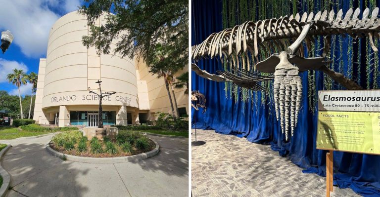 This Florida Science Center Is An Easy 2026 Family Day Trip That Actually Works