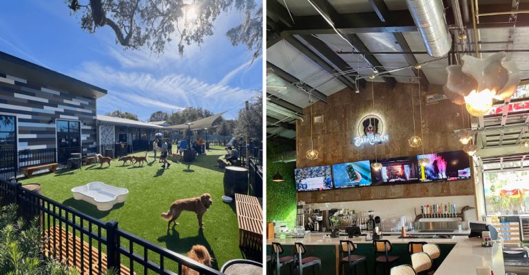 This Florida Spot Lets Dogs Run Free And Owners Say It’s Worth The Trip