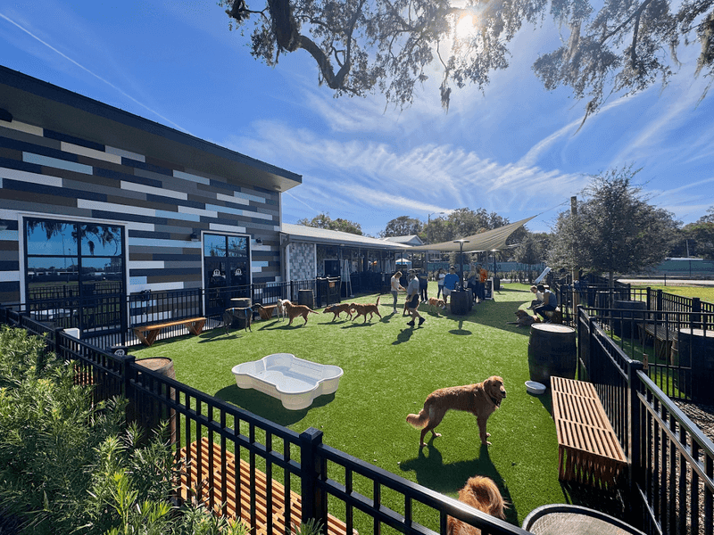 A Dog Park And A Restaurant Rolled Into One