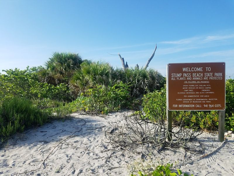 What Makes Stump Pass Beach State Park So Special