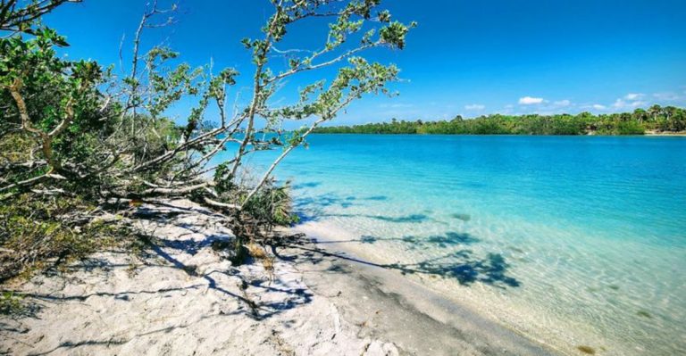 This Florida State Park Gives Visitors A Rare Chance To Hunt For Prehistoric Shark Teeth
