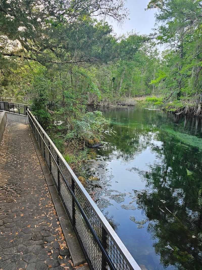 The Legendary 800-Foot Boardwalk